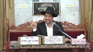 הרב מאיר אליהו |פרשת ויקהל | מוסאיוף (בית הכנסת מוסאיוף) - התמונה מוצגת ישירות מתוך אתר האינטרנט יוטיוב. זכויות היוצרים בתמונה שייכות ליוצרה. קישור קרדיט למקור התוכן נמצא בתוך דף הסרטון