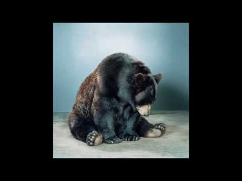 01. Kodyak - Fragilebear