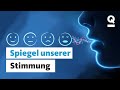 Was unsere Stimme über uns verrät | Quarks