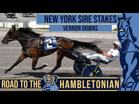 2022 NYSS - Joviality S - 3FT #Hambo22