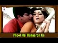 Phool Hai Bahaaron Ka - Love Song - Lata Mangeshkar, Mohammed Rafi @ - Jeetendra, Mumtaz