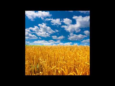 download lagu mp3 mp4 Du Gav Os De Blomster Tekst, download lagu Du Gav Os De Blomster Tekst gratis, unduh video klip Du Gav Os De Blomster Tekst
