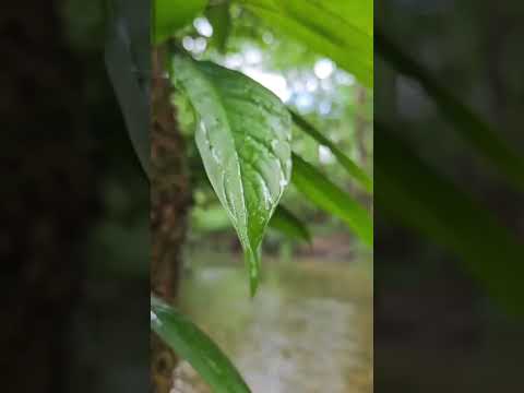 2ª Semana Nacional de Ciência e Tecnologia - UFRA - Campus Capitão Poço