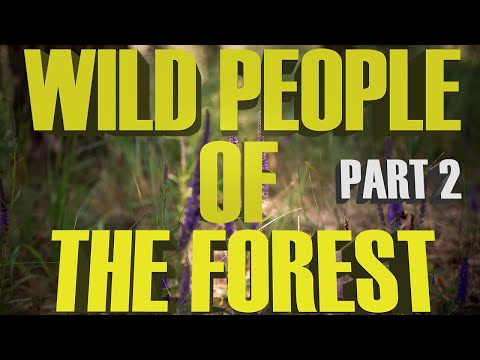 A Story Of The Wild People (PART 2) | I Played With A Sasquatch (MUST HEAR!!!)