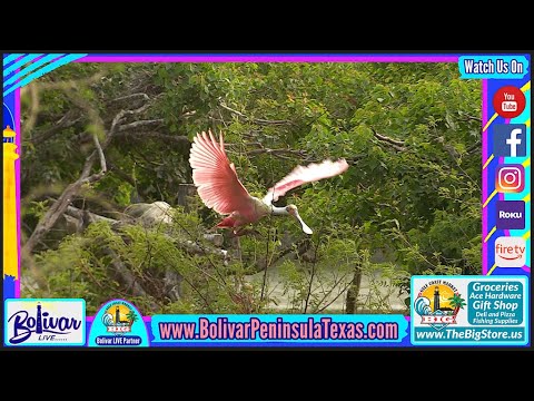 The Beauty Of Bolivar Peninsula, And Good Morning Bolivar Kicks Off.