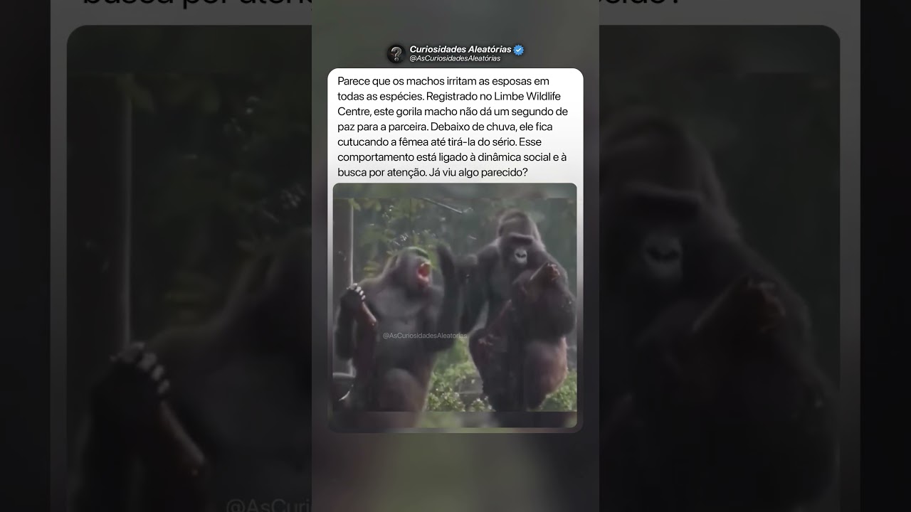 Tirou Ela do Sério 🦍 #curiosidades #mistérios