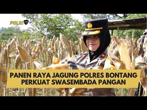 PANEN RAYA JAGUNG POLRES BONTANG PERKUAT SWASEMBADA PANGAN