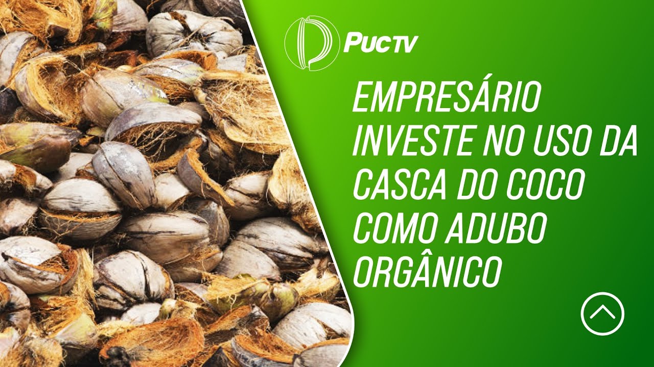 EMPRESÁRIO INVESTE NO USO DA CASCA DO COCO COMO ADUBO ORGÂNICO