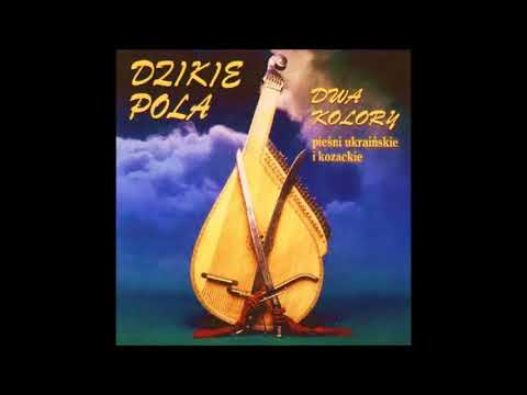 Dzikie Pola - Nalewajmy bracia