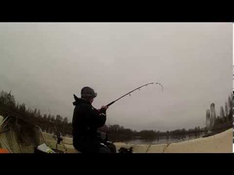 LAX SKELLEFTEÅ 2013