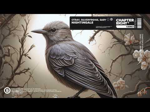 Otray, SilverFridge, Sary - Nightingale