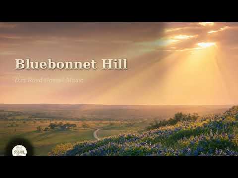 Bluebonnet Hill