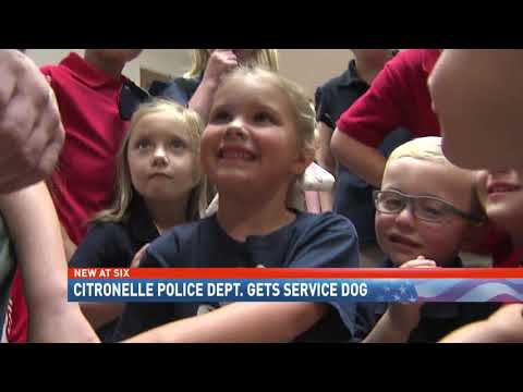 Citronelle Police introduce a new paw-sitive addition to the team - NBC 15 WPMI