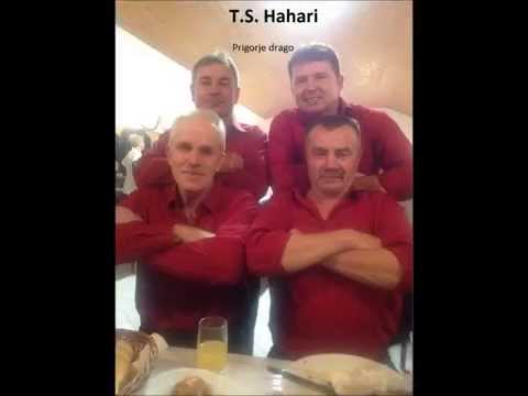 Ts Hahari - Prigorje drago