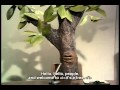 Monty Python's Flying Circus ep 10 Untitled pt
