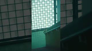 その全てを…アニメ見てね #magic #rloevo #自称悪役令嬢な婚約者の観察記録