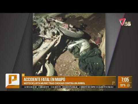 Un motociclista falleció tras CHOCAR contra un ÁRBOL en Maipú