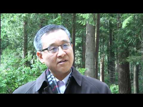 China's environmental issues in a global context (2012)