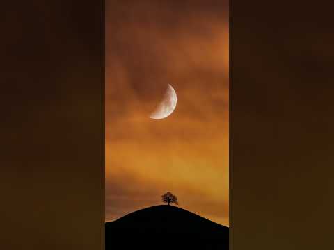 E se - Jeferson Pillar