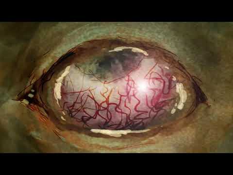 INSANIAM - The Birth Of... (Official Video)