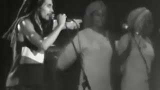 Bob Marley and the Wailers - Lively Up Yourself - 11/30/1979 - Oakland Auditorium (Official)