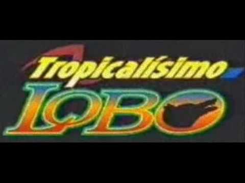 Tropicalisimo Lobo - Ven Junto A Mi