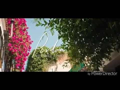 David Bisbal y Greiccy Rendón cantando la canción Perdón