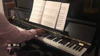 Yuzin - Yann Tiersen piano solo by Ludovic MENARD