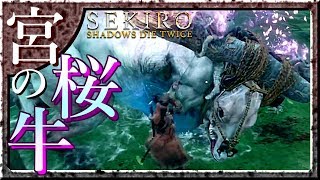 #25 サックリ見るマイ隻狼【SEKIRO：SHADOWS DIE TWICE】