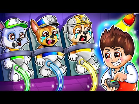 Energy Trap! Rocky, Chase & Rubble Can’t Escape! - PAW Patrol Funny Animation | Rainbow 3