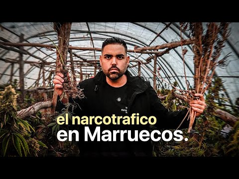 Me INFILTRO en la BANDA de NARC0TR4FICO más PELIGROSA de MARRUECOS