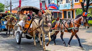 Download lagu NAIK DELMAN ISTIMEWA | HORSE RIDING - NAIK KUDA | KUDA mp3