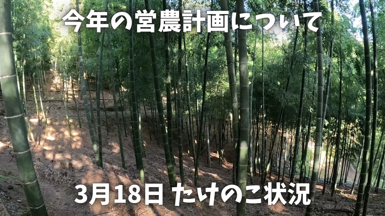 中山間地 零細農家の現状と今後