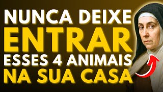 ⚠️SANTA TERESA REVELOU: 4 ANIMAIS QUE O CRISTÃO NUNCA DEVE DEIXAR ENTRAR EM CASA—POUCOS SABEM DISSO!