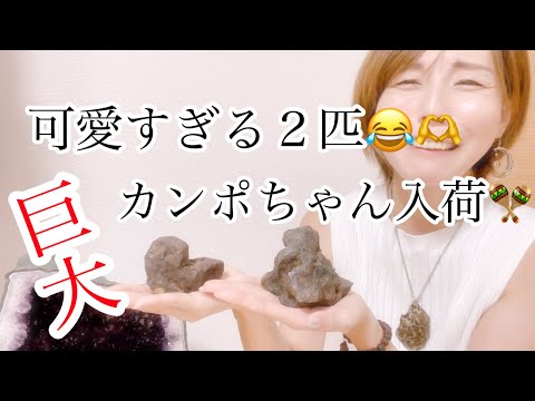 自然にピアスされたカンポ デル シエロの破片、576 グラム