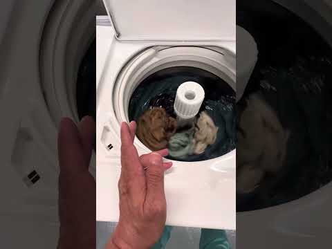 Speed Queen TR7 Smart Water  Level.