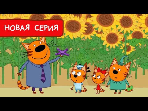 Три Кота | В подсолнухах | Мультфильмы для детей 2022 | Новая серия №196
