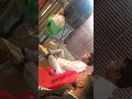 Ramzanpur Video
