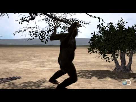 Our First Steps | Curiosity: Mankind Rising