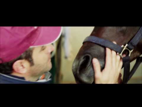 WADEE AL SHAQAB - “Joy of life” - A film by Matteo Marconi & Oscar Sanchez H. for Al Shaqab, Qatar