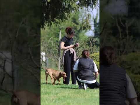 Video di PRALINA