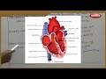 Representative Study Of Mammals Part 02 10th Std Science Question Bank Live Teaching