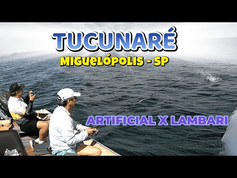PESCARIA DE TUCUNARÉ EM MIGUELÓPOLIS - ARTIFICIAL X LAMBARI