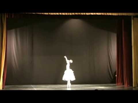 Ariana Obreascu - FIBS Sighisoara 2014