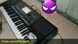 Download lagu Cintaku satu KORG PaXXX mp3 Download lagu Cintaku satu KORG PaXXX mp3