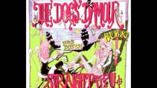 Dogs D&#39; Amour- Empty World