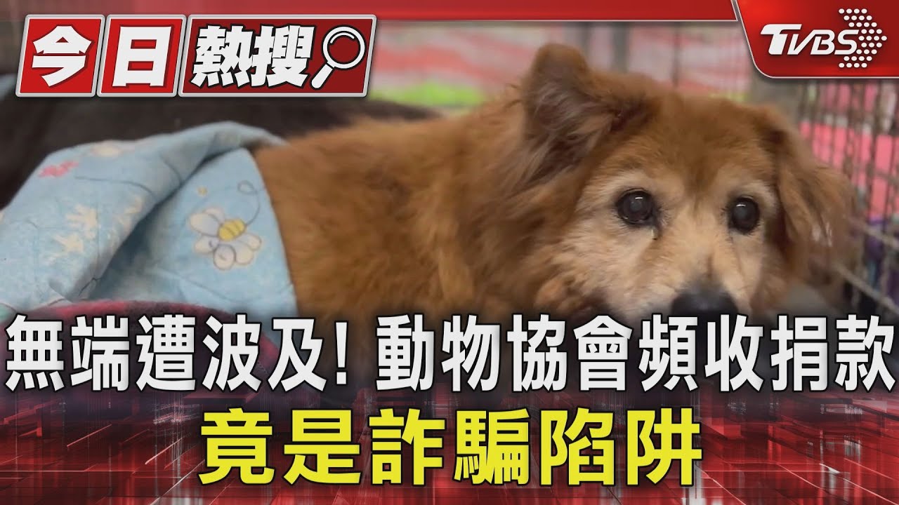 無端遭波及！動物協會頻收捐款　竟是詐騙陷阱
