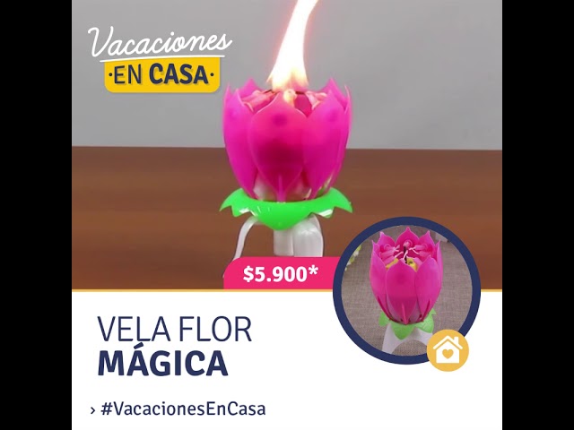 Vídeo relacionado con Vela De Cumpleaños 17,5cm Vela Gigante Glitter Plata, Adecuado para Fiestas De Cumpleaños, Aniversarios De Bodas, Fiestas De Jubilación, Etc. (Numero 9, plata)