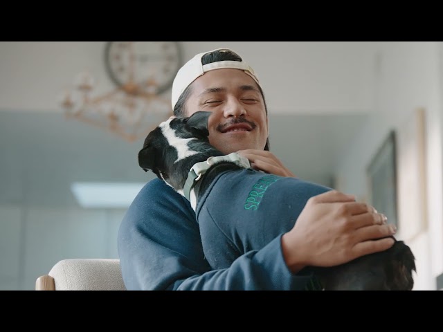 Target – The Pets of Tarjay