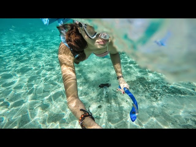 Cozumel, Mexico - GoPro Hero 4 Silver - Best Snorkeling and Scuba Diving